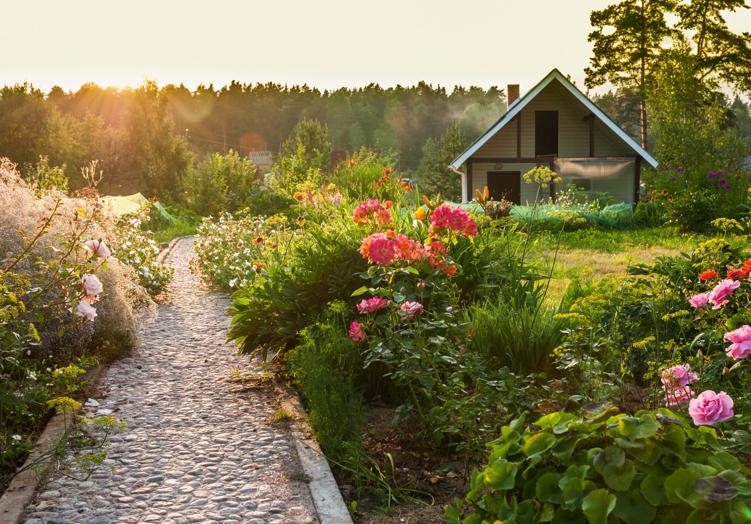 road in the beautiful garden